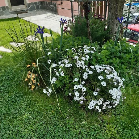 Fior D'olivo - Con Piscina Privata A Pochi Minuti Dal Centro Di Sestri Levante, Mare E Spiaggie Apartamento