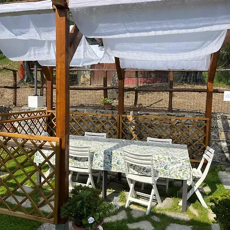 Fior D'olivo - Con Piscina Privata A Pochi Minuti Dal Centro Di Sestri Levante, Mare E Spiaggie Apartamento *